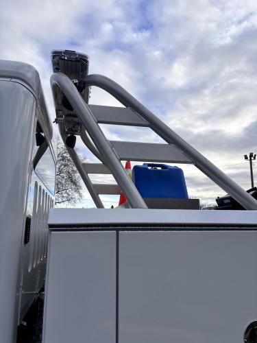 FREIGHTLINER BUSINESS CLASS M2 106 PLUS