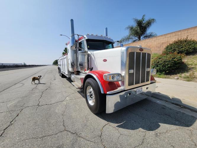 PETERBILT 389