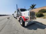PETERBILT 389