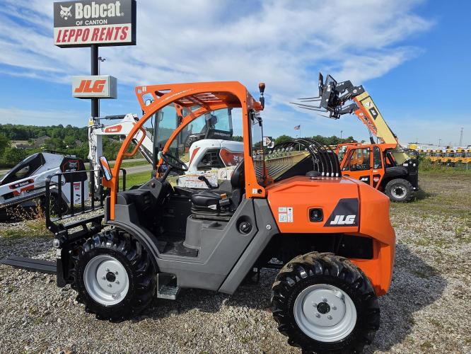 JLG 313