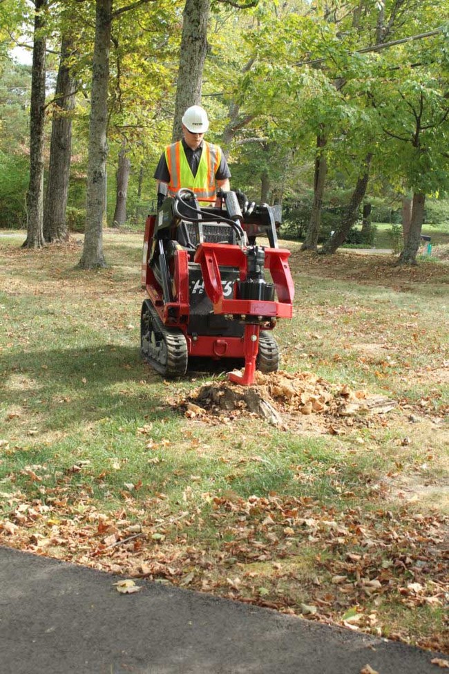 Compact Stumpex