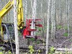 Tree Shear