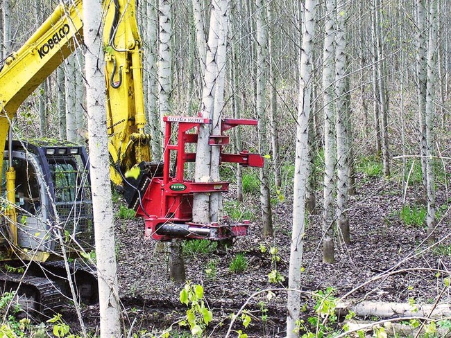 Tree Shear