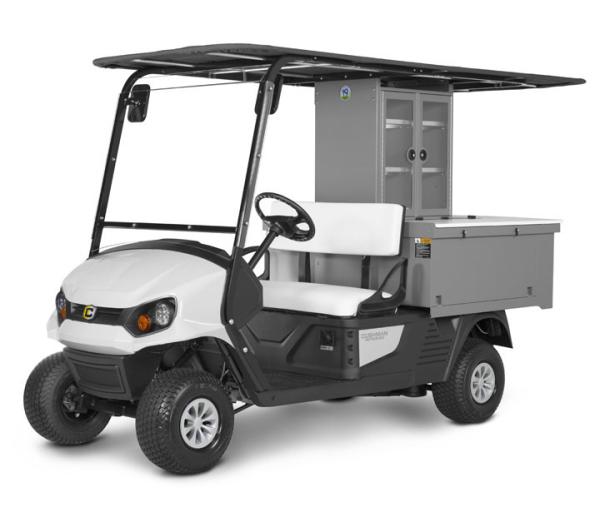 Cushman