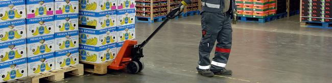 Hand Pallet Jack