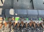John Deere RD45F