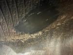 Goodyear NEW REPAIRED 650/85R38 R1W TIRE